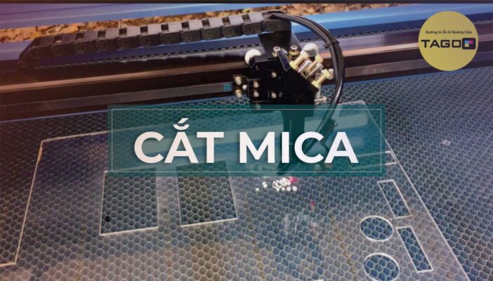 CAT MICA FINAL 1