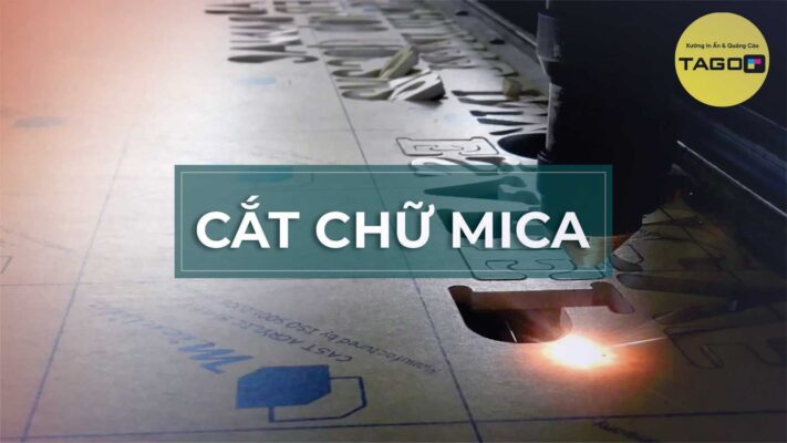 CHU MICA FINAL